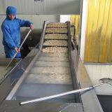 Mixed flow swiring vegetable cleaning machine washing machinery