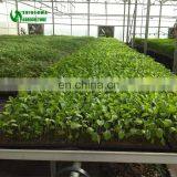 Hot Sale Garden Work Benches In Home Plant Nursery For Orchid
