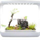 Full Spectrum White Light Grow Lights 4000K/6000K Grow Lamp For Indoor Plants thumbnail-1