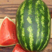 Middle Maturity Good Disease Resistance Hybrid f1 Watermelon Seeds for Planting thumbnail-2