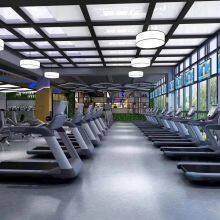 Custom Colors Recumbent Leg Press Machine thumbnail-3