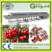 High Quality Fruit Leather Processing Machine thumbnail-2