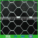 Chicken wire Mesh, poultry wire netting