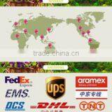 Fujian Anxi Walden Crafts Co., Ltd. company overview - view 3 thumbnail