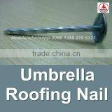 China 1 Lb. Electro Galvanized Umbrella Head Roofing Nails
