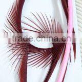 Fashion Feather ,clip-in Hair Extension thumbnail-1