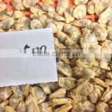 Multi-Language Sites Frozen Short Neck Clam With Shell Frozen Short Neck Clam With Shell Frozen Short Neck Clam With Shell Froz thumbnail-6