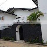 Suvimie Fresh Sri Lankan Pineapples thumbnail-6