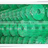 High Quality Welded Wire Mesh(factory)
