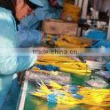 Jiangsu Tianxing Optoelectronics Technology Co., Ltd. company overview - view 3 thumbnail