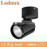 Adjustable High Power 30w Cob Led Ceiling Light