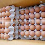 Fresh Brown Eggs thumbnail-1