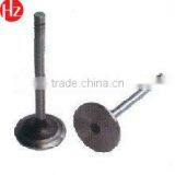 Nissan TD27 Engine Valve