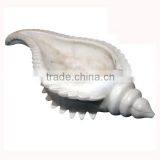 2013 New Design White Exquisite Custom Ceramic Conch Shell thumbnail-1