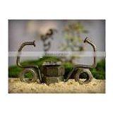 Polished Common Nails/common Iron Nails thumbnail-1