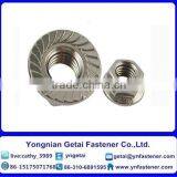 Stainless Steel 201/202/304/316 Hexagon Flange Nuts DIN 6923 thumbnail-4