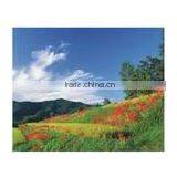 Matte PP Synthetic Film 180