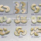 CASHEW KERNEL WW320 thumbnail-5