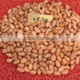 Peanut Kernel thumbnail-1