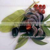 Raw Vannamei White Shrimp (Shellon) thumbnail-1