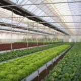 Commercial Greenhouses thumbnail-5