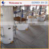 Hot Selling Peanut Oil Refinery Equipments thumbnail-1