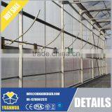 Multi Span Polycarbonate Sheet Greenhouse thumbnail-5