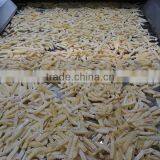 Potato Tunnel Freezer thumbnail-1