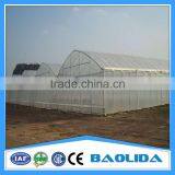 Tunnel Greenhouse for Flowers thumbnail-5