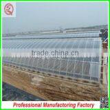 Double Layer High Tunnel Plastic Film Greenhouses for Flower/vegetable Growing thumbnail-5