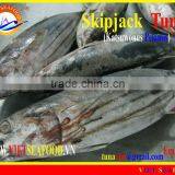FROZEN SKIPJACK TUNA W/R thumbnail-1