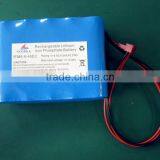 9.6V LiFePO4 Battery Pack (UL Approved Cell)