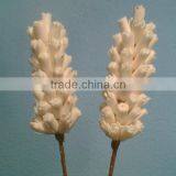 Mocha Kaul Sola Handmade Deco Bunches thumbnail-1