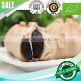 Supply l Black Garlic 100% Natural thumbnail-2