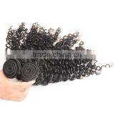 Wholesale 100% Natural Indian Human Hair Price List, Unprocessed Virgin Raw Indian Curly Hair thumbnail-1