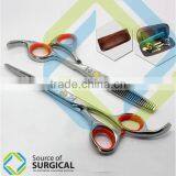 Attractive Low Cost Professional Razor Edge and Thinning Beauty Scissors Set