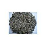 Sunflower Seed thumbnail-2