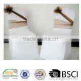 Elegent Organza Sashes