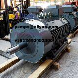 Three Phase Electric Motor 1912080 thumbnail-1