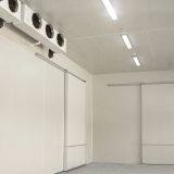 Cold Storage Flower Storage Cold Room thumbnail-1
