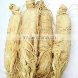 Panax Ginseng Root