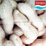 Groundnut / Peanut in Shell