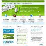 Professional Website Design and Seo thumbnail-1