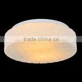 2015 the Latest Design Decorative Glass Indoor Energy Saving Ceiling Lighting