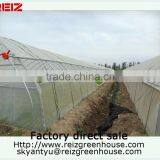15 Years Warranty 100% Bayer Reinforced Cheap Plastic Agriculture Single Span Tunnel Greenhouse Quality Choice Most Popular thumbnail-4