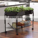 Metal Iron Flower Pot Stand by Kinlife With 33 Years Exprience