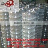 welded wire mesh(certification: ISO9001:2000)