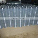Galvanized Welded Wire Mesh(Anping Real Manufacturer)