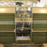 QDXR-4A-4-128T plan A type automatic chicken layer egg collecting system