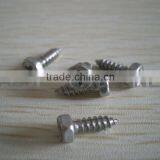 hex head PH tapping screw SS